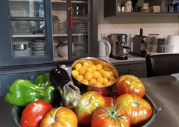 envie-de-sud-gîte-chambre-hote-Camargue-tomates-potager-biologique