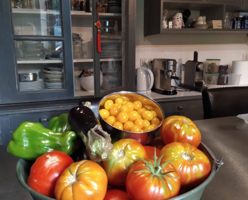 envie-de-sud-gîte-chambre-hote-Camargue-tomates-potager-biologique